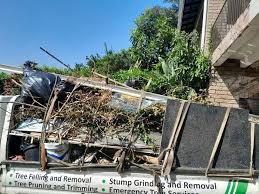 Best Construction Debris Removal  in Ecorse, MI